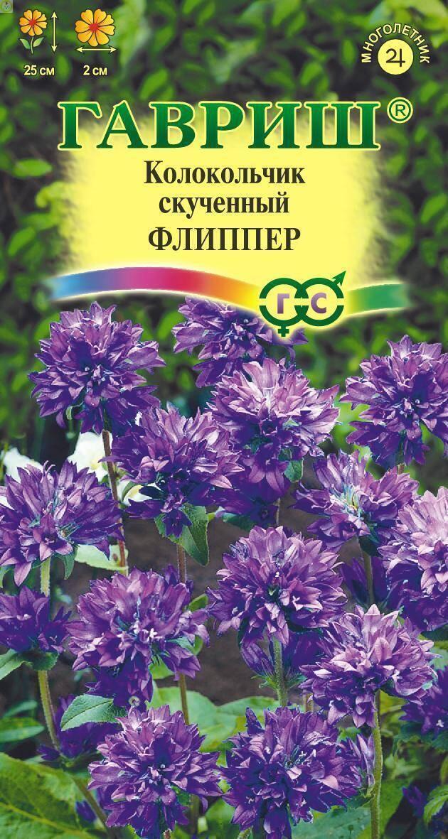 Купить оптом в Ботанике семена Колокольчик Флиппер скученный Гав бренд Гавриш