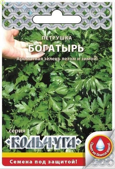 Купить оптом в Ботанике семена Петрушка листовая Богатырь Кольчуга NEW НК бренд НК