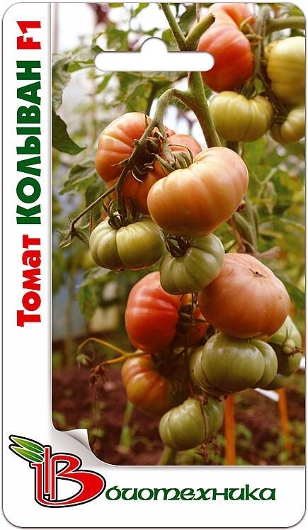 Купить оптом в Ботанике семена Томат Колыван F1 Био бренд Биотехника