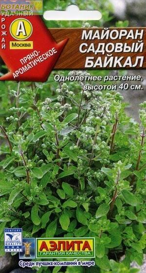 Купить оптом в Ботанике семена Майоран Садовый Аэл бренд Аэлита