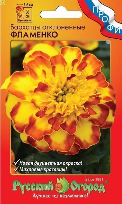 Купить оптом в Ботанике семена Бархатцы  Фламенко откл. НК бренд НК