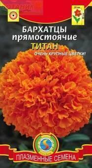 Купить оптом в Ботанике семена Бархатцы Титан Плз бренд Плазмас