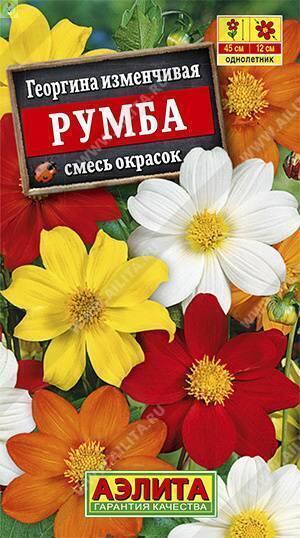 Купить оптом в Ботанике семена Георгина Румба смесь Аэл бренд Аэлита