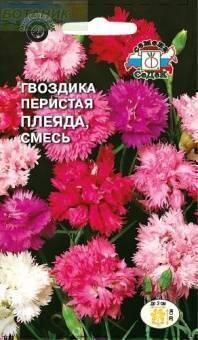 Купить оптом в Ботанике семена Гвоздика перистая Плеяда Сед бренд СеДеК