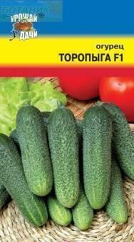 Купить оптом в Ботанике семена Огурец Торопыга F1 УУ бренд Урожай Удачи