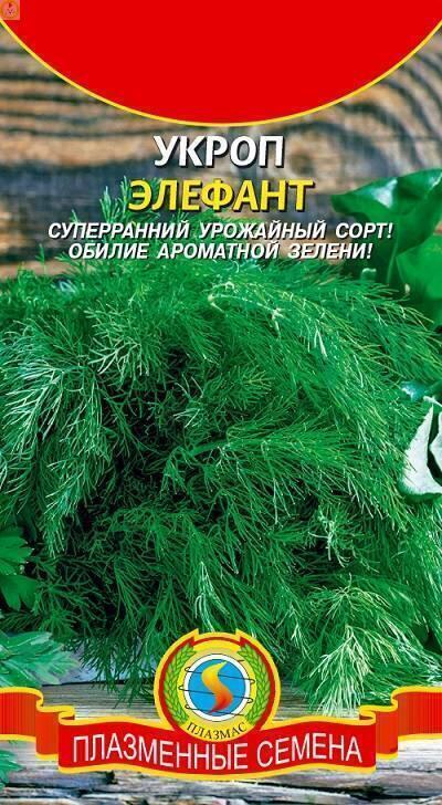 Купить оптом в Ботанике семена Укроп Элефант Плз бренд Плазмас