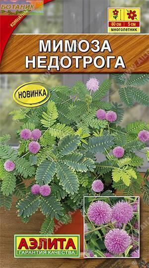 Купить оптом в Ботанике семена Мимоза Недотрога Аэл бренд Аэлита