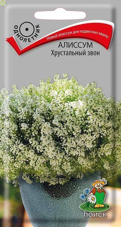 Купить оптом в Ботанике семена Алиссум Хрустальный звон Поиск бренд Поиск