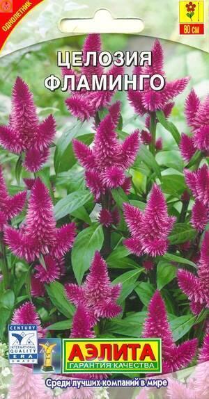 Купить оптом в Ботанике семена Целозия Фламинго Аэл бренд Аэлита