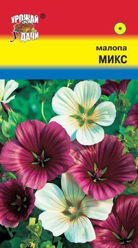 Купить оптом в Ботанике семена Малопа Микс УУ бренд Урожай Удачи