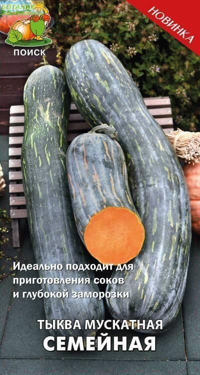 Купить оптом в Ботанике семена Тыква Семейная мускатная Поиск бренд Поиск
