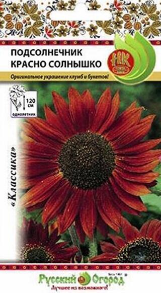 Купить оптом в Ботанике семена Подсолнечник Красно Солнышко НК бренд НК