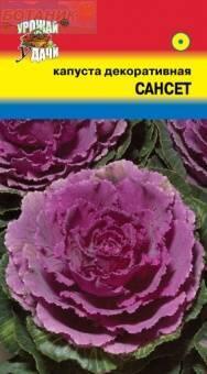 Купить оптом в Ботанике семена Капуста декоративная Сансет УУ бренд Урожай Удачи