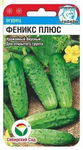 Купить оптом в Ботанике семена Огурец Феникс плюс СС бренд Сиб.сад