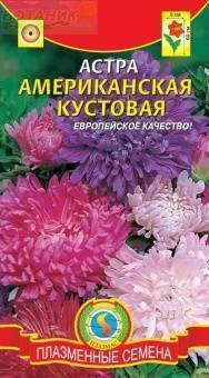 Купить оптом в Ботанике семена Астра Американская кустовая Плз бренд Плазмас