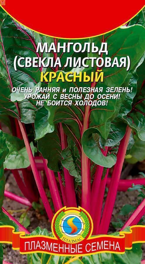Купить оптом в Ботанике семена Мангольд Красный Плз бренд Плазмас