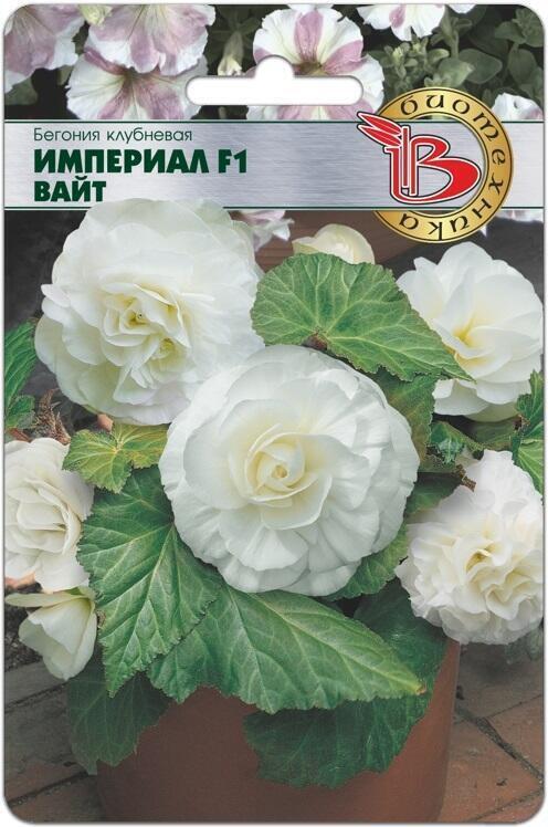 Купить оптом в Ботанике семена Бегония Империал вайт F1 Био бренд Биотехника