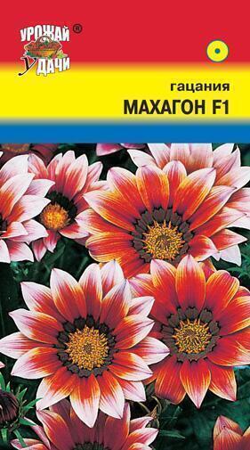 Купить оптом в Ботанике семена Гацания Махагон F1 УУ бренд Урожай Удачи