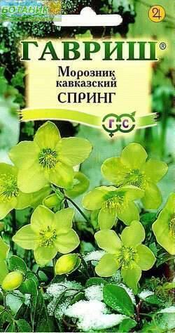 Купить оптом в Ботанике семена Морозник Кавказский Гав бренд Гавриш