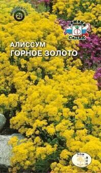 Купить оптом в Ботанике семена Алиссум Горное золото Сед бренд СеДеК