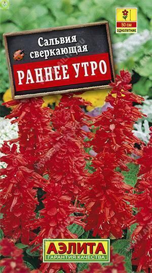 Купить оптом в Ботанике семена Сальвия Раннее утро Аэл бренд Аэлита