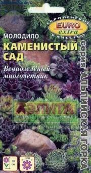Купить оптом в Ботанике семена Молодило Каменистый сад Аэл бренд Аэлита