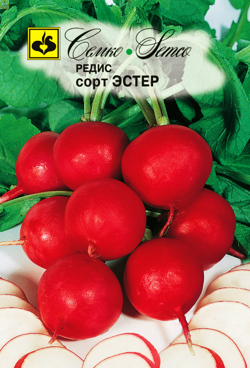 Купить оптом в Ботанике семена Редис Эстер Сем бренд Семко