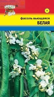 Купить оптом в Ботанике семена Фасоль Вьющаяся белая УУ бренд Урожай Удачи