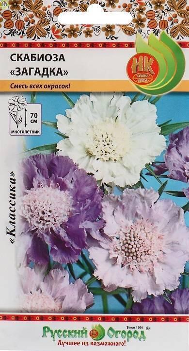 Купить оптом в Ботанике семена Скабиоза Загадка НК бренд НК