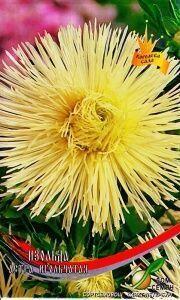 Купить оптом в Ботанике семена Астра Изольда ССО бренд Сортсемовощ