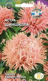 Купить оптом в Ботанике семена Астра Шиншилла Сед бренд СеДеК