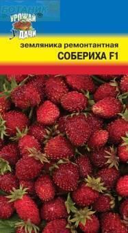 Купить оптом в Ботанике семена Земляника Собериха F1 УУ бренд Урожай Удачи