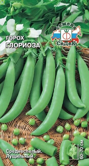 Купить оптом в Ботанике семена Горох Глориоза Сед бренд СеДеК