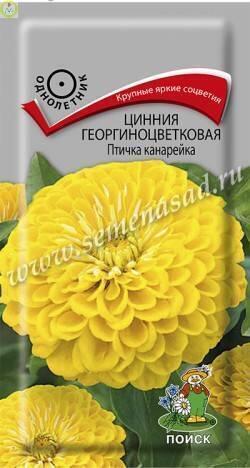 Купить оптом в Ботанике семена Цинния Птичка канарейка Поиск бренд Поиск