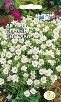 Купить оптом в Ботанике семена Легузия Первый поцелуй Сед бренд СеДеК