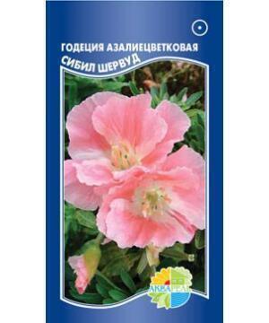 Купить оптом в Ботанике семена Годеция Сибил Шервуд азалиецветковая Акв бренд Акварель