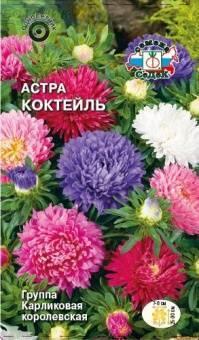 Купить оптом в Ботанике семена Астра Коктейль Сед бренд СеДеК