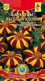 Купить оптом в Ботанике семена Бархатцы Веселый клоун Плз бренд Плазмас
