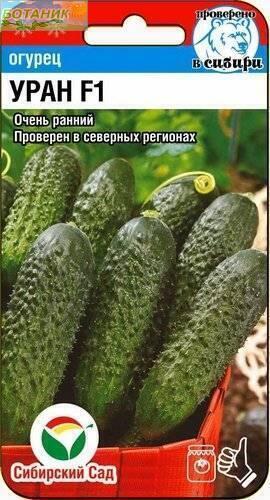 Купить оптом в Ботанике семена Огурец Уран F1 CC бренд Сиб.сад