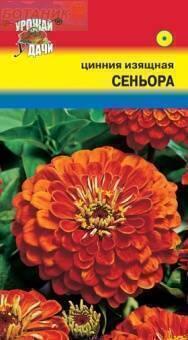 Купить оптом в Ботанике семена Цинния Сеньора УУ бренд Урожай Удачи