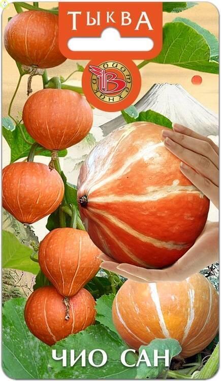 Купить оптом в Ботанике семена Тыква Чио Сан Био бренд Биотехника