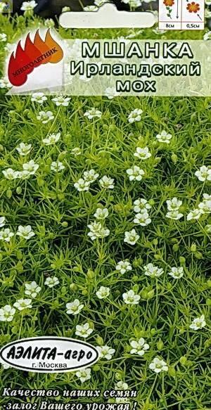 Купить оптом в Ботанике семена Мшанка Ирландский мох Аэл бренд Аэлита