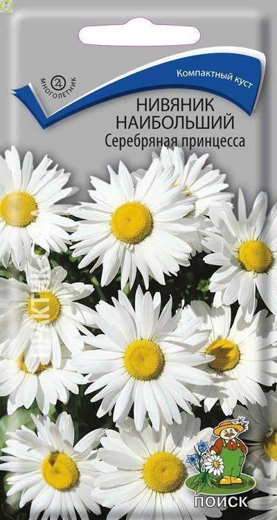 Купить оптом в Ботанике семена Нивяник Серебряная принцесса наибольший Поиск бренд Поиск