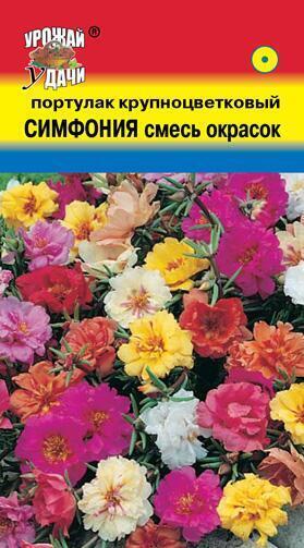 Купить оптом в Ботанике семена Портулак Симфония смесь УУ бренд Урожай Удачи