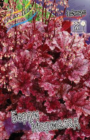 Купить оптом в Ботанике Гейхера Берри Мармелад 1 шт
