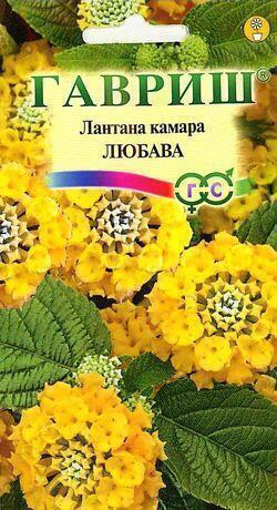 Купить оптом в Ботанике семена Лантана Камара Гав бренд Гавриш