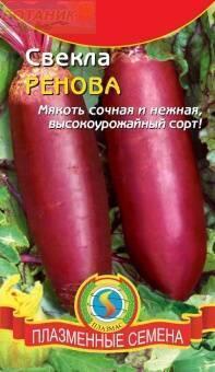 Купить оптом в Ботанике семена Свекла Ренова Плз бренд Плазмас