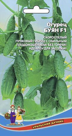 Купить оптом в Ботанике семена Огурец Буян F1 УД бренд Уральский дачник