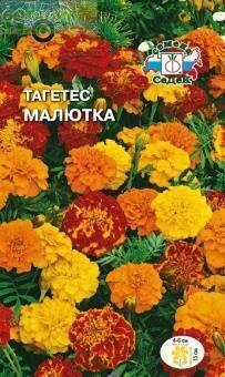 Купить оптом в Ботанике семена Бархатцы Малютка Сед бренд СеДеК