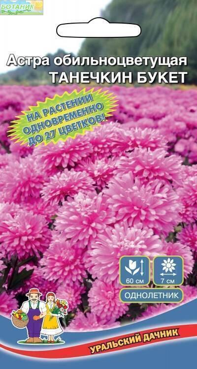 Купить оптом в Ботанике семена Астра Танечкин букет обильноцветущая УД бренд Уральский дачник